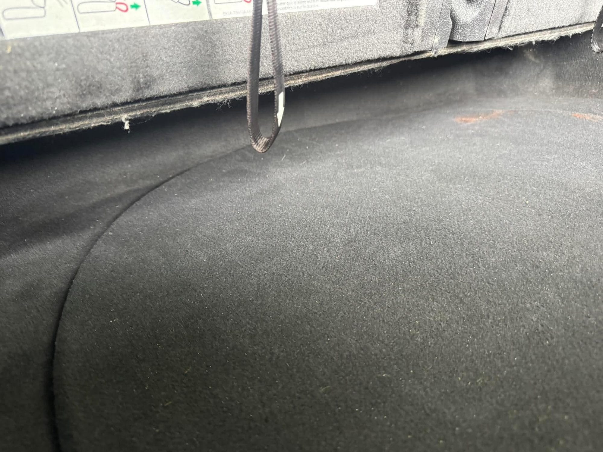 Cargo area carpet vacuumed clean