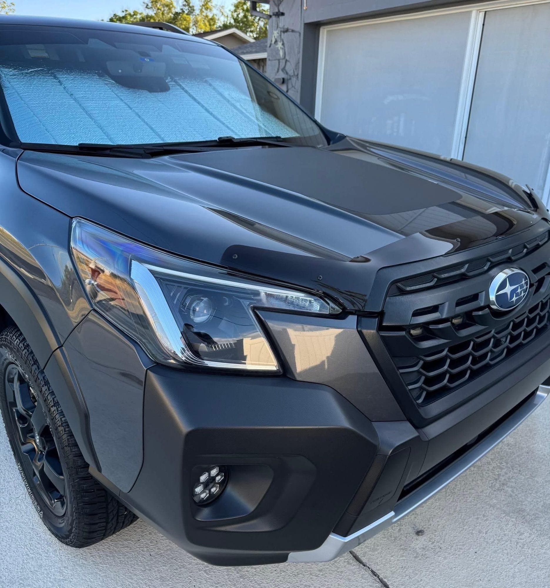 Subaru front end after bug and tar removal
